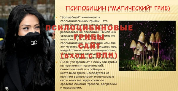 СК Осташков