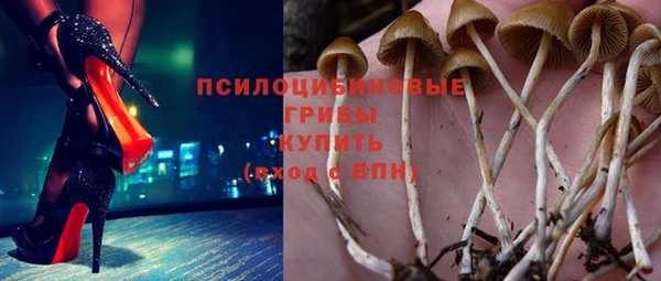 СК Осташков