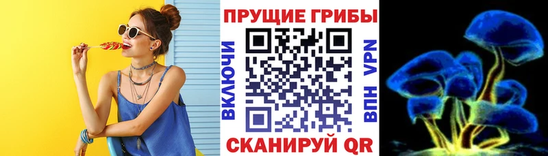 где продают наркотики  Усмань  Псилоцибиновые грибы прущие грибы 